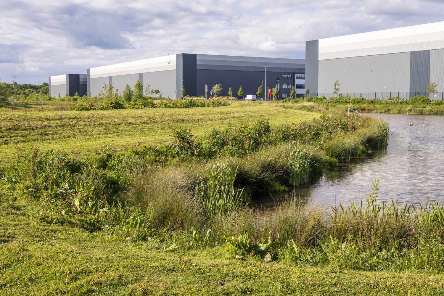 Indurent Park Derby (1)